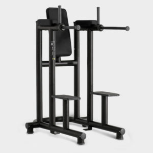 Leg Raise Element Technogym