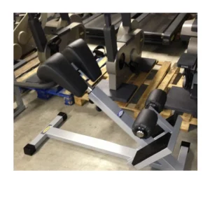 Lower Back Bench Technogym