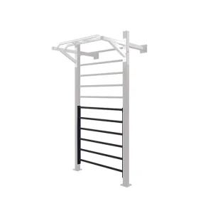 Modulo 6 Pioli per Spalliera LDX-5000 Toorx