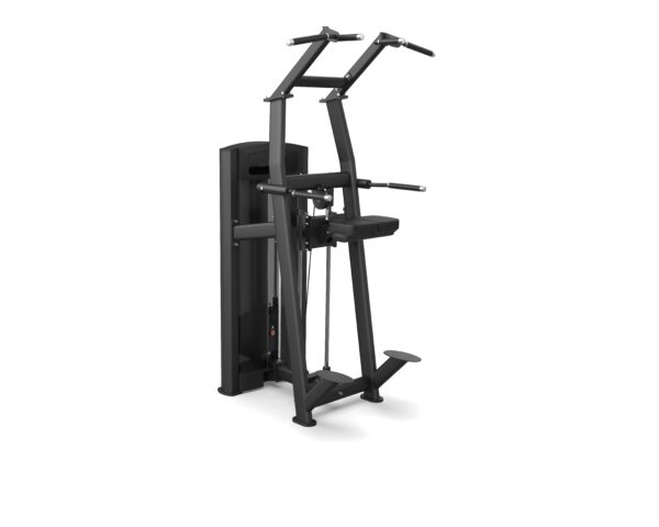 assisted pull up chin dip