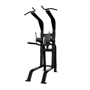 Nautilus Pull-Up/Dip/Leg Raise Bench Inspiration Line