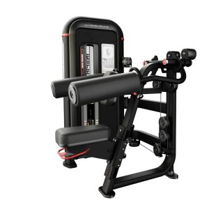 Deltoid Raise Inspiration Line Nautilus